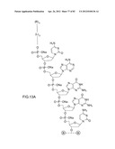 METHODS FOR TREATING OR PREVENTING OPHTHALMOLOGICAL DISEASES diagram and image