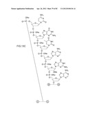 METHODS FOR TREATING OR PREVENTING OPHTHALMOLOGICAL DISEASES diagram and image