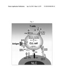 THE USE OF INHIBITORS OF BRUTON S TYROSINE KINASE (BTK) diagram and image