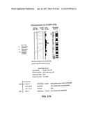 NUCLEOTIDE AND AMINO ACID SEQUENCES RELATING TO RESPIRATORY DISEASES AND     OBESITY diagram and image