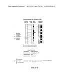 NUCLEOTIDE AND AMINO ACID SEQUENCES RELATING TO RESPIRATORY DISEASES AND     OBESITY diagram and image