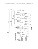 NUCLEOTIDE AND AMINO ACID SEQUENCES RELATING TO RESPIRATORY DISEASES AND     OBESITY diagram and image