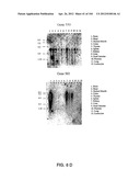 NUCLEOTIDE AND AMINO ACID SEQUENCES RELATING TO RESPIRATORY DISEASES AND     OBESITY diagram and image