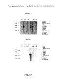 NUCLEOTIDE AND AMINO ACID SEQUENCES RELATING TO RESPIRATORY DISEASES AND     OBESITY diagram and image