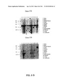 NUCLEOTIDE AND AMINO ACID SEQUENCES RELATING TO RESPIRATORY DISEASES AND     OBESITY diagram and image