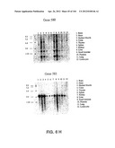 NUCLEOTIDE AND AMINO ACID SEQUENCES RELATING TO RESPIRATORY DISEASES AND     OBESITY diagram and image