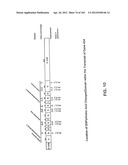 NUCLEOTIDE AND AMINO ACID SEQUENCES RELATING TO RESPIRATORY DISEASES AND     OBESITY diagram and image