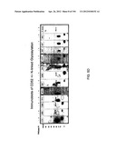 ANTI-HUMAN CD52 IMMUNOGLOBULINS diagram and image