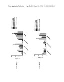 ANTI-HUMAN CD52 IMMUNOGLOBULINS diagram and image