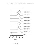 ANTI-HUMAN CD52 IMMUNOGLOBULINS diagram and image