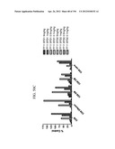 ANTI-HUMAN CD52 IMMUNOGLOBULINS diagram and image