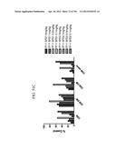 ANTI-HUMAN CD52 IMMUNOGLOBULINS diagram and image