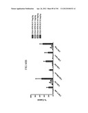 ANTI-HUMAN CD52 IMMUNOGLOBULINS diagram and image