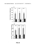 ANTI-CCL25 AND ANTI-CCR9 ANTIBODIES FOR THE PREVENTION AND TREATMENT OF     CANCER AND CANCER CELL MIGRATION diagram and image