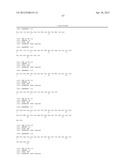 ANTI-CCL25 AND ANTI-CCR9 ANTIBODIES FOR THE PREVENTION AND TREATMENT OF     CANCER AND CANCER CELL MIGRATION diagram and image