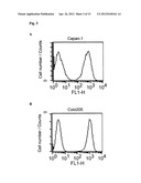 Amatoxin-Armed Therapeutic Cell Surface Binding Components Designed for     Tumour Therapy diagram and image