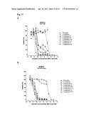 Amatoxin-Armed Therapeutic Cell Surface Binding Components Designed for     Tumour Therapy diagram and image