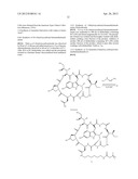 Amatoxin-Armed Therapeutic Cell Surface Binding Components Designed for     Tumour Therapy diagram and image