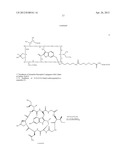 Amatoxin-Armed Therapeutic Cell Surface Binding Components Designed for     Tumour Therapy diagram and image