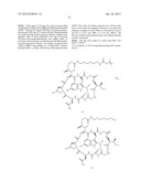 Amatoxin-Armed Therapeutic Cell Surface Binding Components Designed for     Tumour Therapy diagram and image