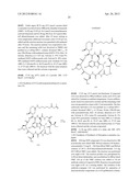 Amatoxin-Armed Therapeutic Cell Surface Binding Components Designed for     Tumour Therapy diagram and image