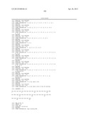 Ang-2 Binding Complexes and Uses Thereof diagram and image