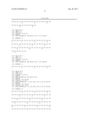 Ang-2 Binding Complexes and Uses Thereof diagram and image