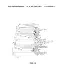 CYCLOVIRUS AND METHODS OF USE diagram and image