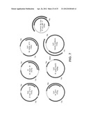 CYCLOVIRUS AND METHODS OF USE diagram and image