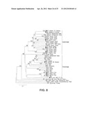 CYCLOVIRUS AND METHODS OF USE diagram and image