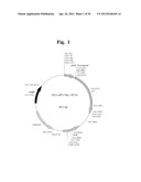 Vaccine for Cervical Cancer diagram and image