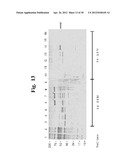 Vaccine for Cervical Cancer diagram and image