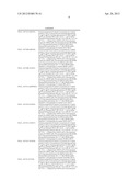 COMPOSITIONS AND METHODS FOR THE TREATMENT OF HEPATITIS C diagram and image