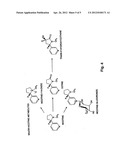 HAPTEN-CARRIER CONJUGATES WITH BACTERIAL TOXINS HAVING A SIGNAL PEPTIDE AS     CARRIER AND THEIR USE IN IMMUNOGENIC COMPOSITIONS diagram and image