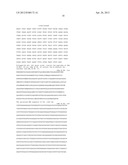 IMMUNOGENIC STREPTOCOCCUS PNEUMONIAE PEPTIDES AND PEPTIDE-MULTIMERS diagram and image