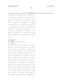 IMMUNOGENIC STREPTOCOCCUS PNEUMONIAE PEPTIDES AND PEPTIDE-MULTIMERS diagram and image