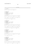 IMMUNOGENIC STREPTOCOCCUS PNEUMONIAE PEPTIDES AND PEPTIDE-MULTIMERS diagram and image