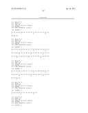 IMMUNOGENIC STREPTOCOCCUS PNEUMONIAE PEPTIDES AND PEPTIDE-MULTIMERS diagram and image