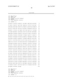 IMMUNOGENIC STREPTOCOCCUS PNEUMONIAE PEPTIDES AND PEPTIDE-MULTIMERS diagram and image