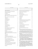 IMMUNOGENIC STREPTOCOCCUS PNEUMONIAE PEPTIDES AND PEPTIDE-MULTIMERS diagram and image