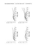 METHODS FOR PREPARING AND USING MULTICHAPERONE-ANTIGEN COMPLEXES diagram and image