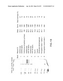 METHODS FOR PREPARING AND USING MULTICHAPERONE-ANTIGEN COMPLEXES diagram and image