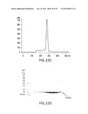 METHODS FOR PREPARING AND USING MULTICHAPERONE-ANTIGEN COMPLEXES diagram and image