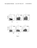 METHODS FOR PROLIFERATION OF ANTIGEN-SPECIFIC T CELLS diagram and image