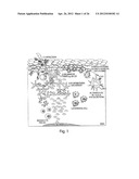 Continuous Cell Programming Devices diagram and image