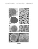 Fabrication of Biscrolled Fiber Using Carbon Nanotube Sheet diagram and image