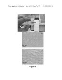 Fabrication of Biscrolled Fiber Using Carbon Nanotube Sheet diagram and image