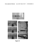 Fabrication of Biscrolled Fiber Using Carbon Nanotube Sheet diagram and image