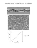 Fabrication of Biscrolled Fiber Using Carbon Nanotube Sheet diagram and image