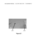 Fabrication of Biscrolled Fiber Using Carbon Nanotube Sheet diagram and image